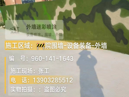 宁德 迷彩漆喷涂价格（按平方米计费）