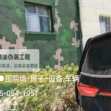 宁德数码迷彩漆施工